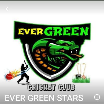 EVERGREEN STARS