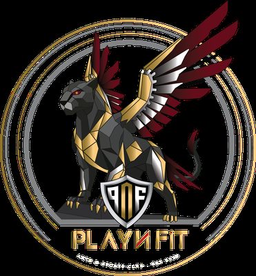 PLAY N FIT